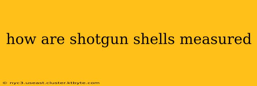 how are shotgun shells measured