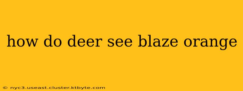 how do deer see blaze orange