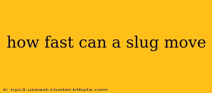 how fast can a slug move