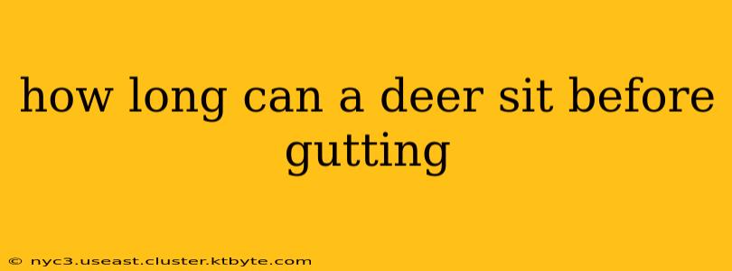 how long can a deer sit before gutting