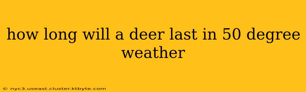 how long will a deer last in 50 degree weather