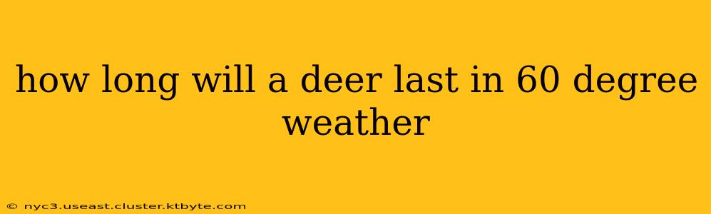 how long will a deer last in 60 degree weather