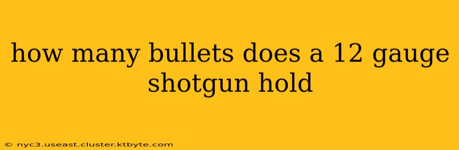 how many bullets does a 12 gauge shotgun hold