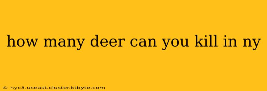 how many deer can you kill in ny