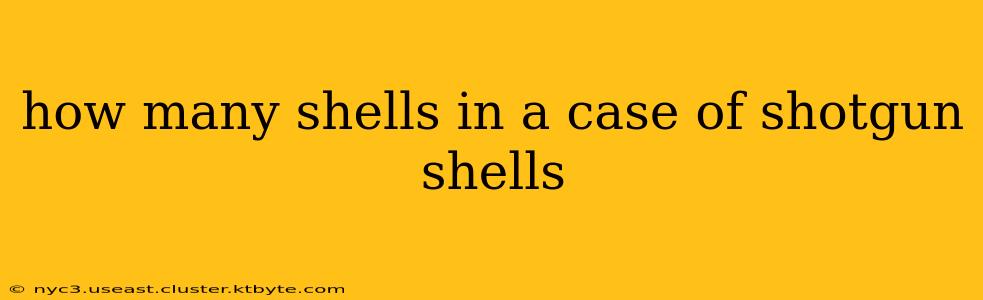 how many shells in a case of shotgun shells