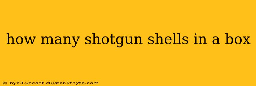 how many shotgun shells in a box