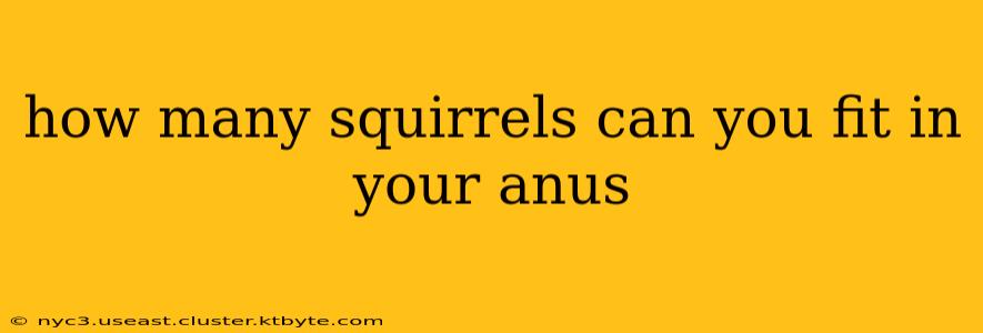 how many squirrels can you fit in your anus