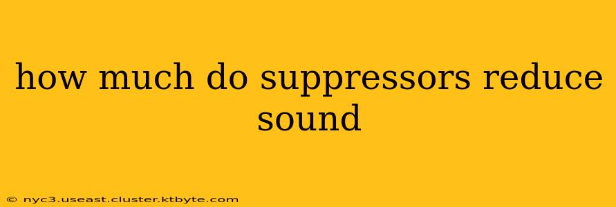 how much do suppressors reduce sound