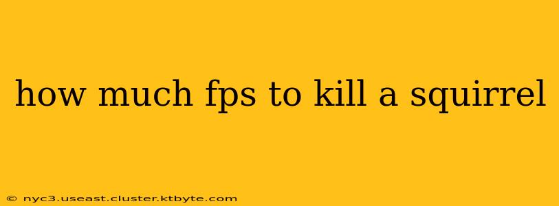 how much fps to kill a squirrel