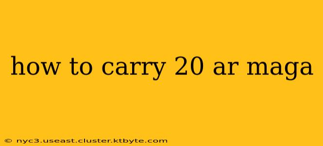 how to carry 20 ar maga