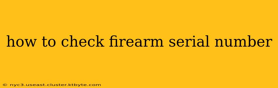 how to check firearm serial number