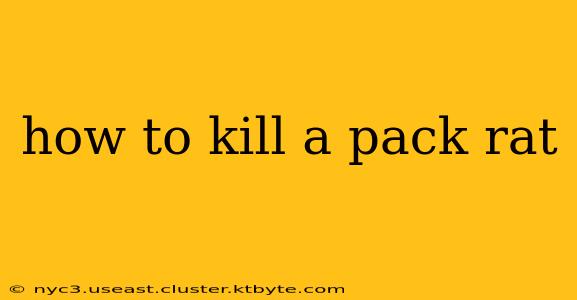 how to kill a pack rat