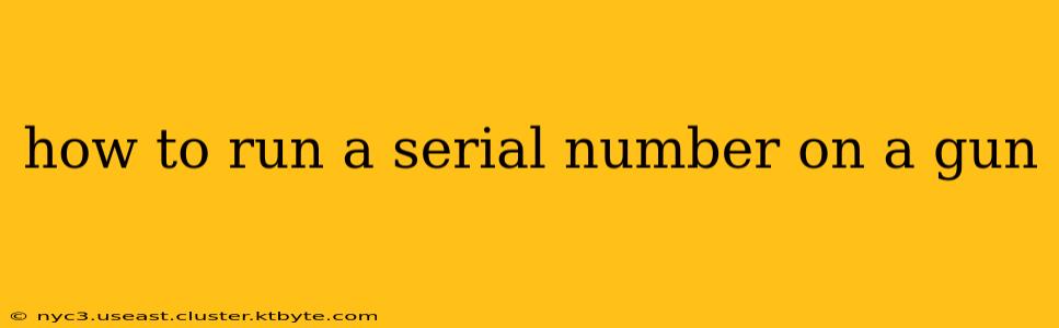 how to run a serial number on a gun