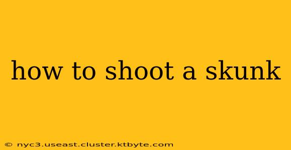 how to shoot a skunk