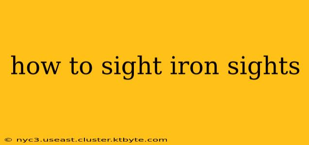 how to sight iron sights