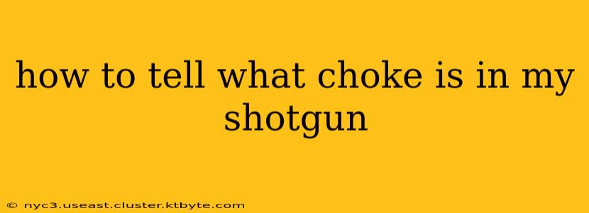 how to tell what choke is in my shotgun