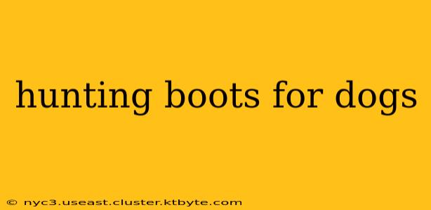 hunting boots for dogs