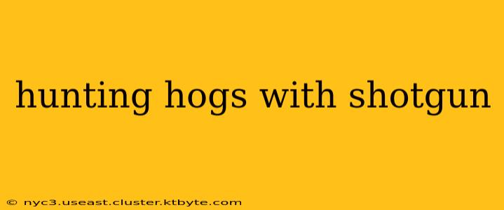 hunting hogs with shotgun