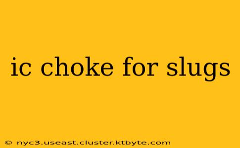 ic choke for slugs