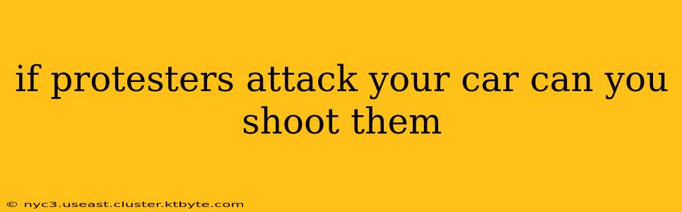 if protesters attack your car can you shoot them