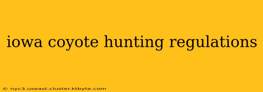 iowa coyote hunting regulations