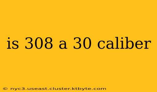 is 308 a 30 caliber