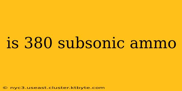 is 380 subsonic ammo