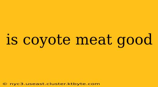 is coyote meat good