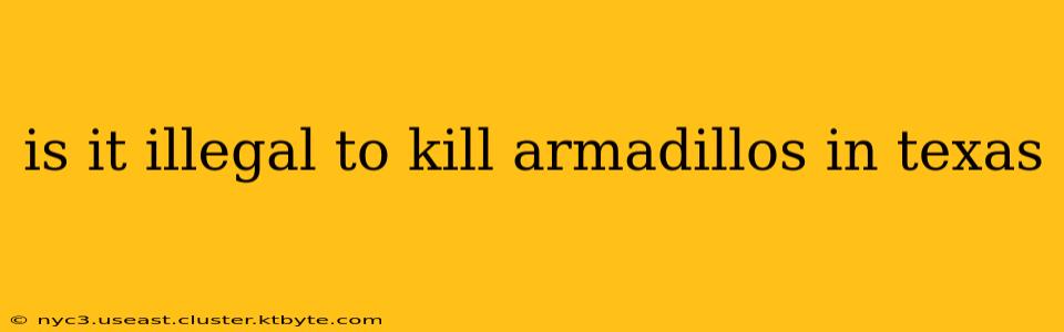 is it illegal to kill armadillos in texas