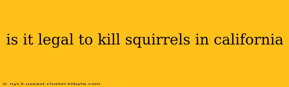 is it legal to kill squirrels in california