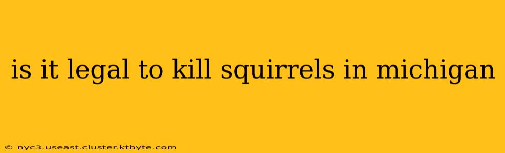 Is It Legal To Kill Squirrels In Michigan