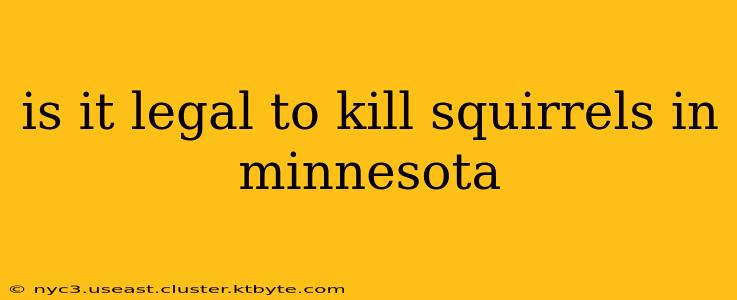 is it legal to kill squirrels in minnesota