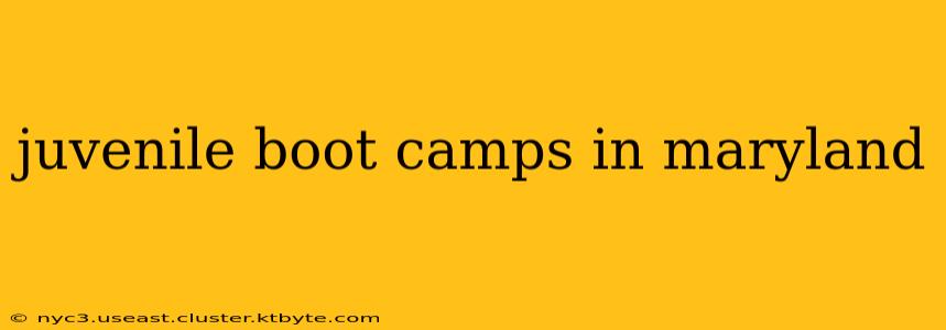 juvenile boot camps in maryland