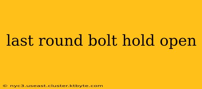 last round bolt hold open