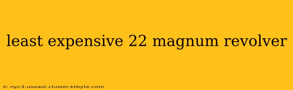 least expensive 22 magnum revolver