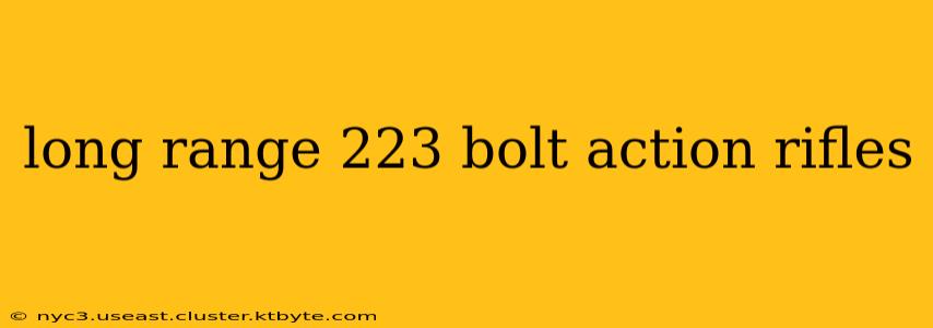 long range 223 bolt action rifles