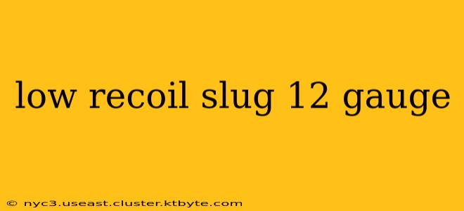 low recoil slug 12 gauge