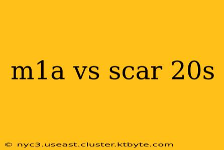 m1a vs scar 20s