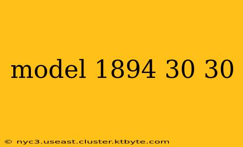 model 1894 30 30