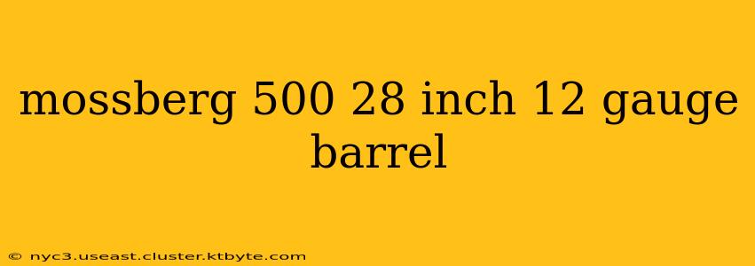 mossberg 500 28 inch 12 gauge barrel