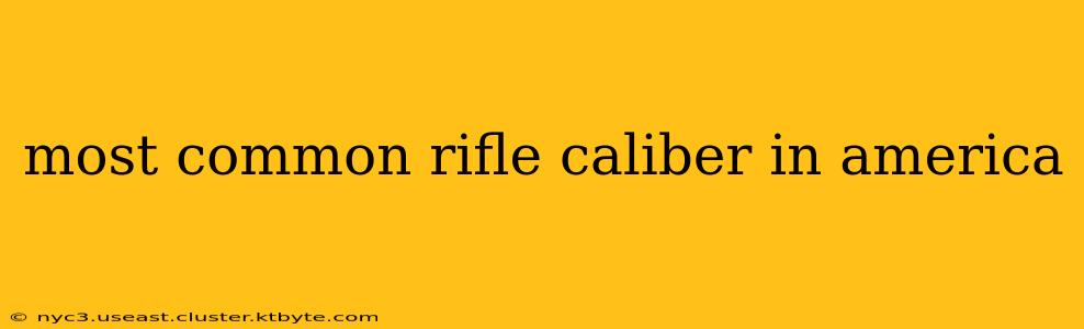 most common rifle caliber in america