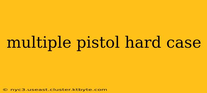 multiple pistol hard case