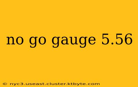 no go gauge 5.56