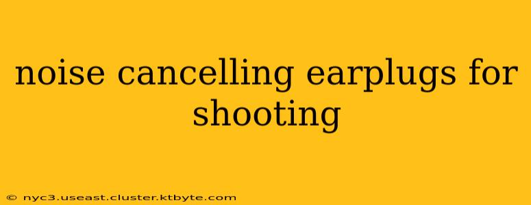 noise cancelling earplugs for shooting