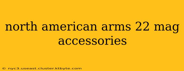 north american arms 22 mag accessories