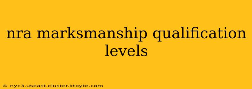 nra marksmanship qualification levels