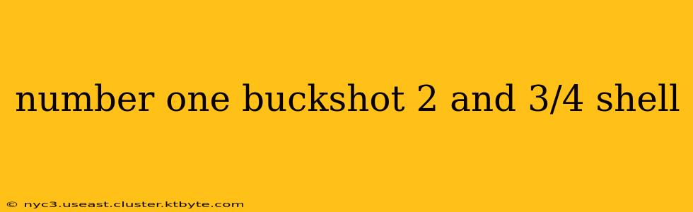 number one buckshot 2 and 3/4 shell