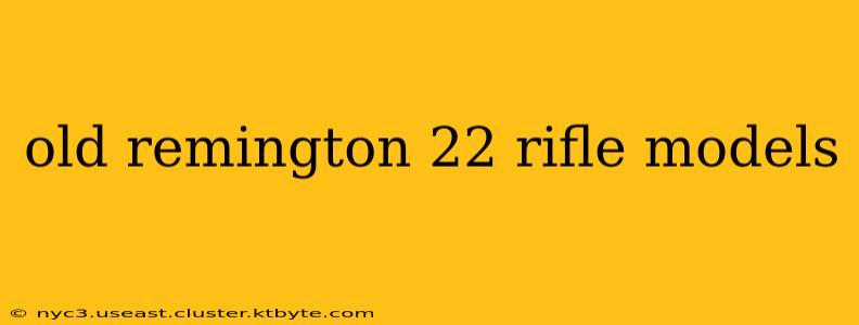 old remington 22 rifle models