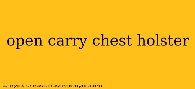 open carry chest holster