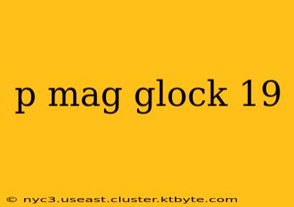 p mag glock 19